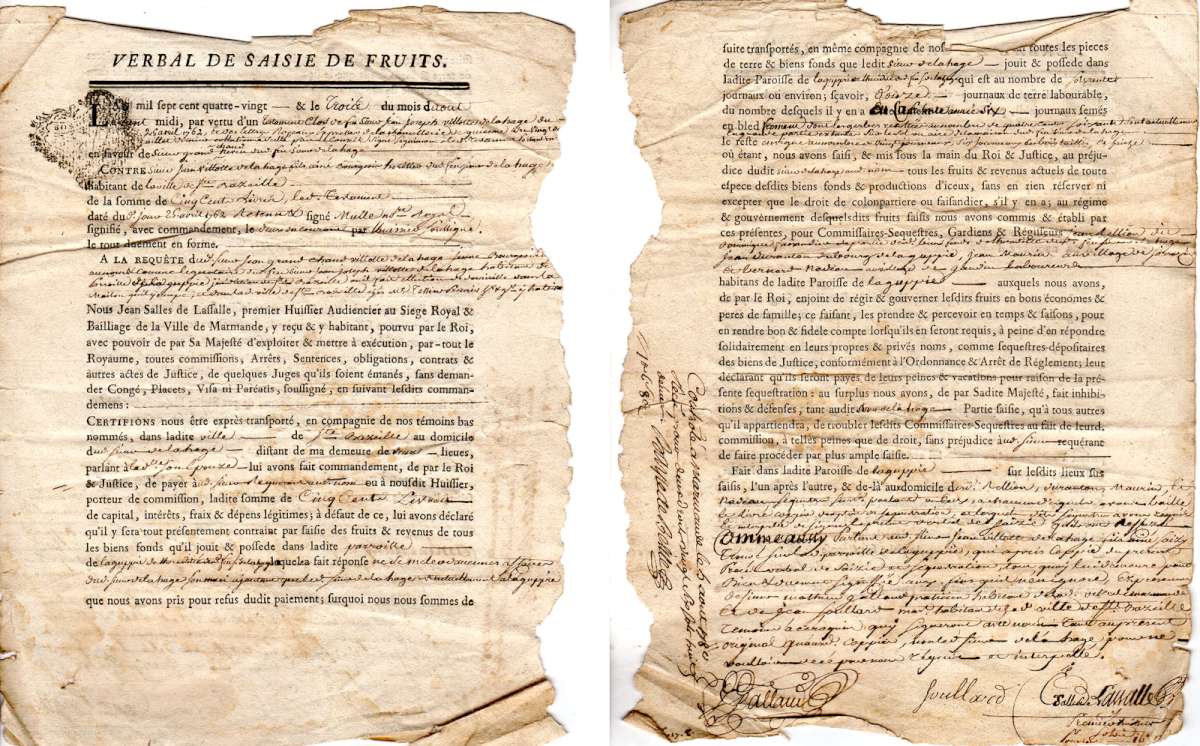 saisie de fruits 1762 1200