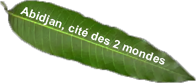 abidjan0