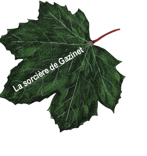 feuille sorciere