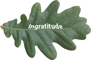 ingratitude0