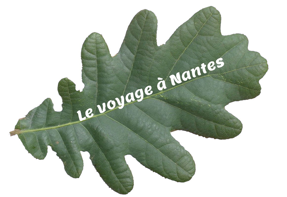 nantes0